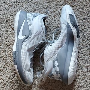 LeBron James Witness 2 BB shoes